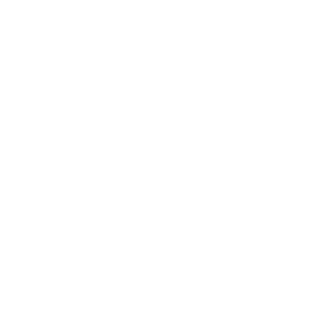 Apex Axis LLC Logo